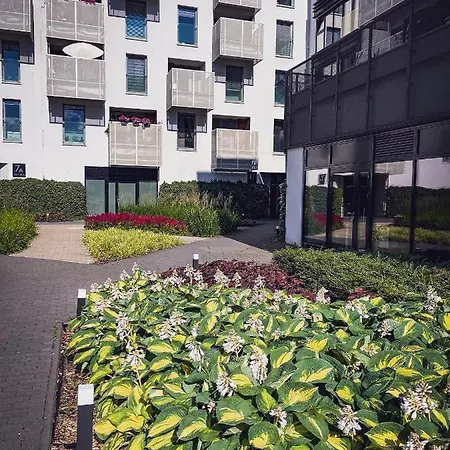 Avenida Apartment